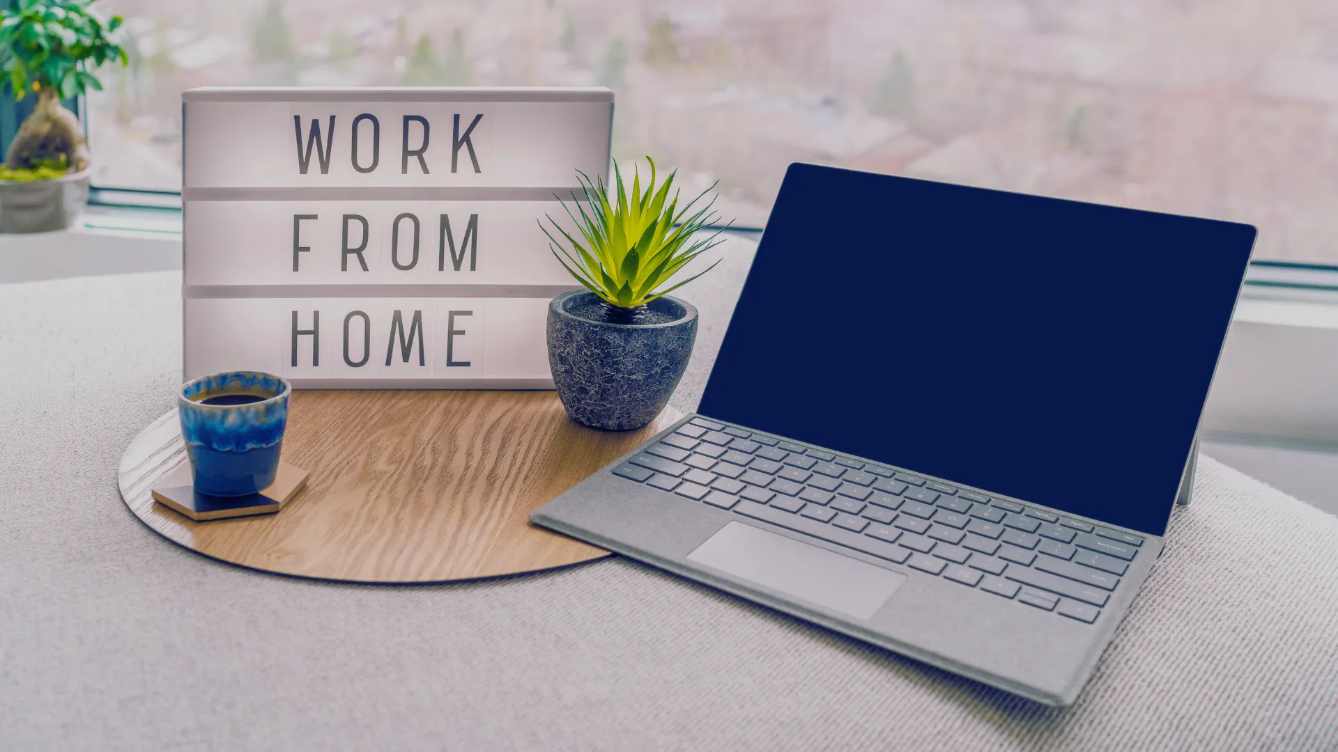 A laptop and plant on top of a table.